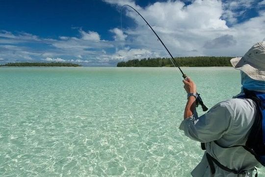 Naples Half-Day Fly Fishing Activity