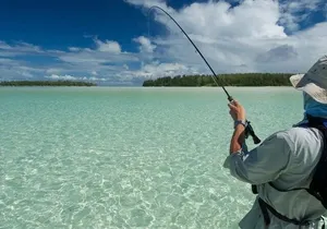 Naples Half-Day Fly Fishing Activity