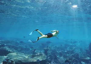 Cancun: Snorkeling Adventure at Puerto Morelos Reef