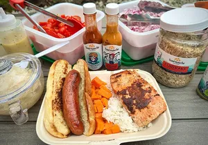 Alaska Wildlife Adventure Raptor Experience & Salmon Tales Lunch