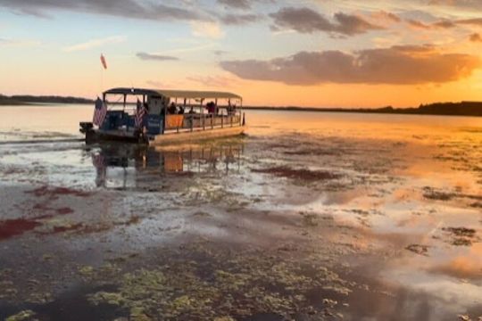 1 Hr Eco Adventure Scenic Wildlife Boat Cruise