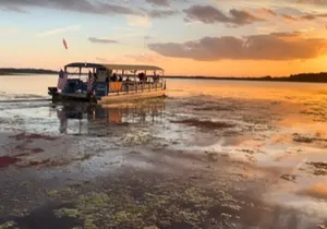 1 Hr Eco Adventure Scenic Wildlife Boat Cruise