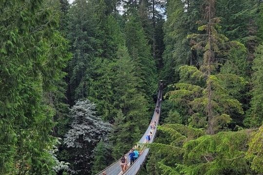 Vancouver City Tour: Capilano Bridge and Stanley Park