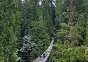 Vancouver City Tour: Capilano Bridge and Stanley Park