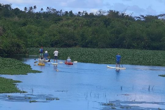 Private Redwood Forest Hiking Tour