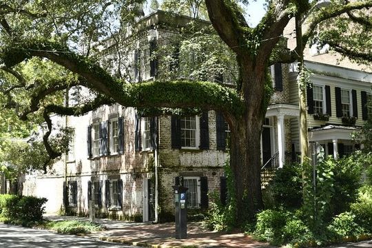 Discover Lesser Known Stories on the Hidden Savannah Walking Tour