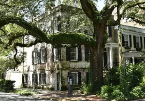 Discover Lesser Known Stories on the Hidden Savannah Walking Tour