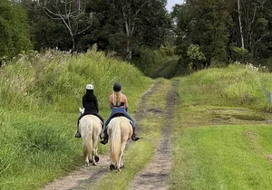Small Group Rainforest Trail Ride