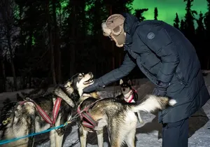 Aurora Activity at Sluice Box Sled Dogs