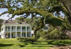 Felicity Plantation Tour