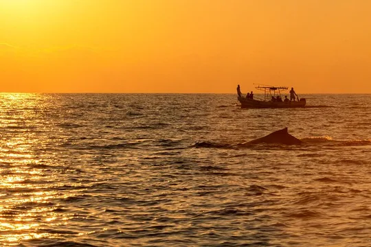 Private Tour of the Beaches of Puerto Escondido in Lancha