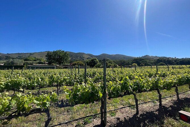 Morning Half Day Carmel Valley Wine Tasting Tour