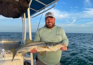 Private 4 Hour Marco Island Experience - Fishing/Shelling/Dolphin