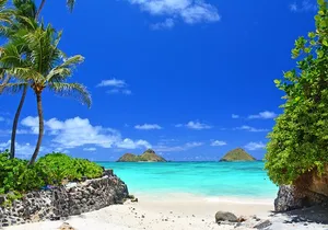 Private Driving Tour of Oahu Scenic South Shore