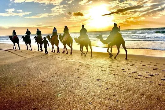 Málaga to Tangier Luxury VIP Tour All Inclusive