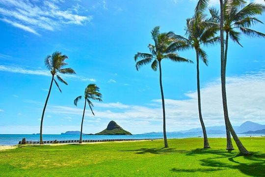 Private 5-Hour Driving Tour of Oahu’s Highlights