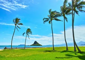 Private 5-Hour Driving Tour of Oahu’s Highlights