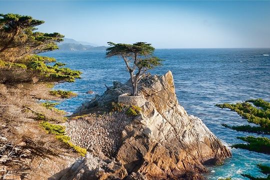 17-Mile Drive, Monterey Peninsula &Carmel Max 12 Small Group Tour