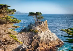 17-Mile Drive, Monterey Peninsula &Carmel Max 12 Small Group Tour