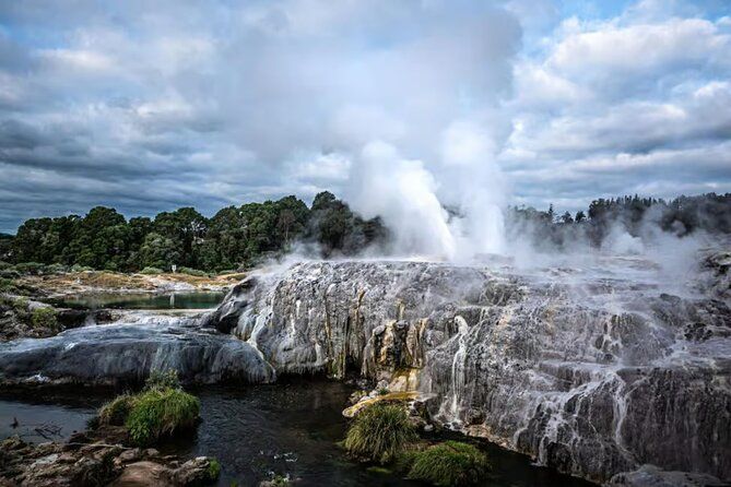 Auckland: Rotorua Te Puia & Maori Village Tour with Haka