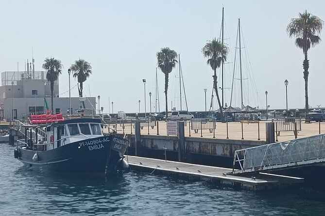 Cascais Coastal Secrets 90 Minute Cruise with Free Wine and Beer