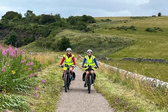 4hr Easier Small Group White Peak Highlights eBike Tour
