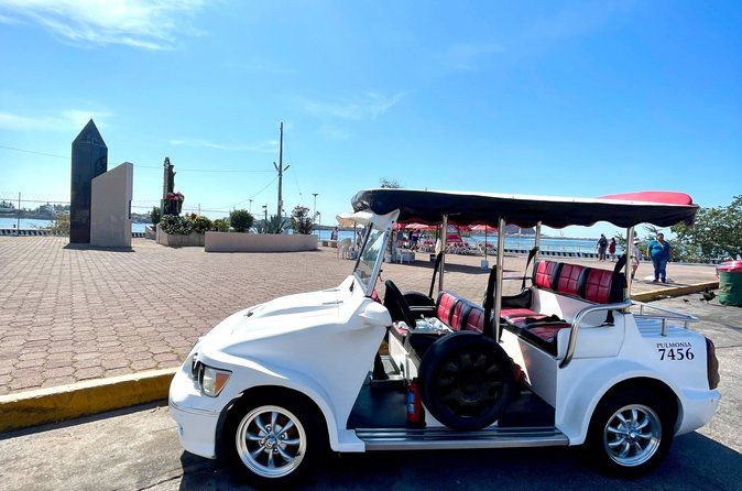 Mazatlan Pulmonia Experience