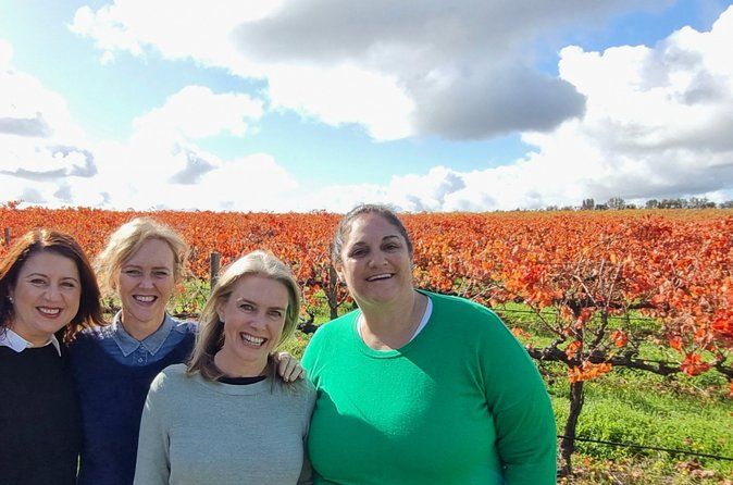 McLaren Vale Small Shared Tour with Wine Tasting and Lunch
