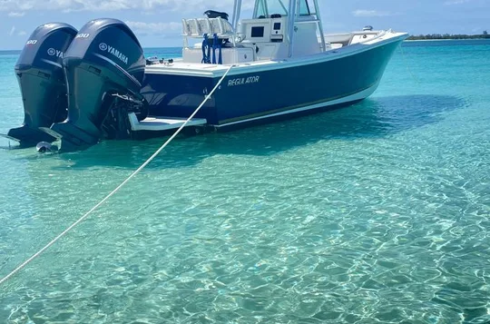 4 Hour Rose Island Private Tour Beaching Snorkeling Turtles