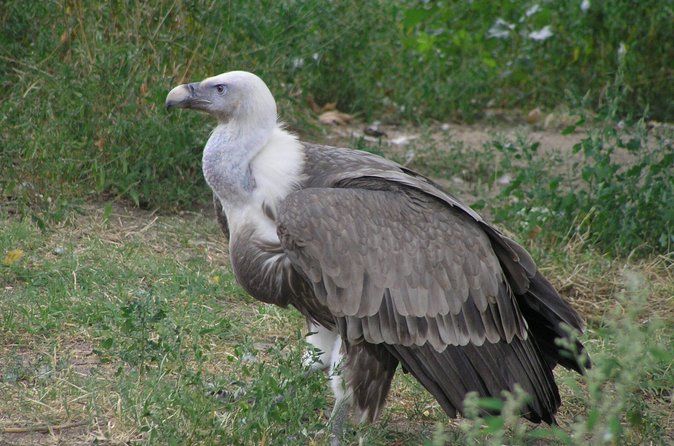 Private Nature & Wildlife Expedition