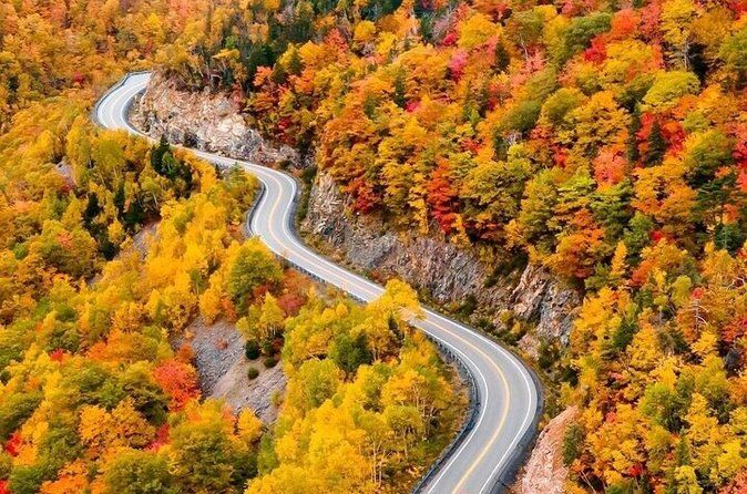 Cabot Trail: Cape smokey hill & Green Cove Tour from Sydney port