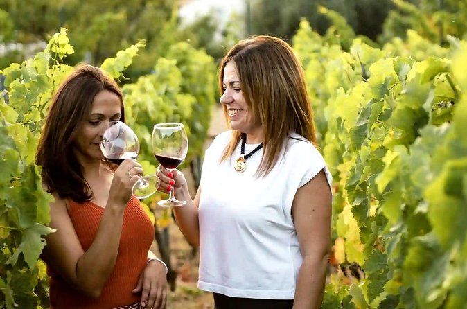 Near Malaga: Mijas Organic Vineyard, 5 Wines, 2 Oils & Tapas