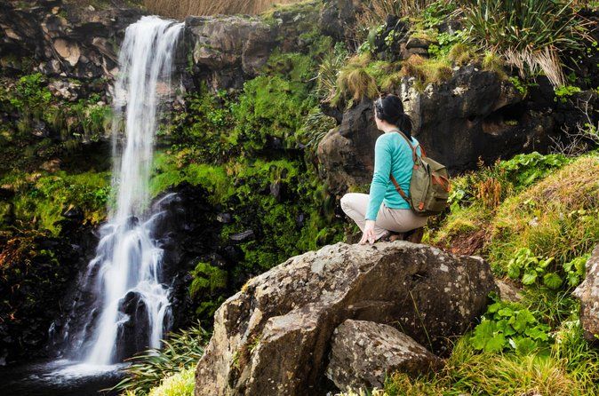 Chasing Waterfalls in São Miguel: Small-Group Nature Tour