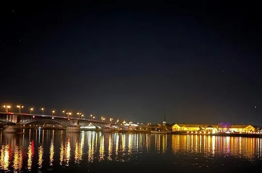 Visite nocturne à pied des rives du Rhin et de la vieille ville de Mayence