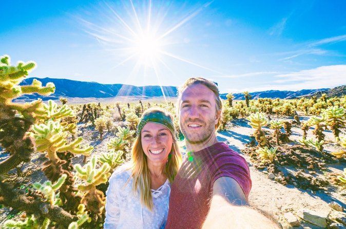 Joshua Tree National Park Small Group Day Tour from Los Angeles