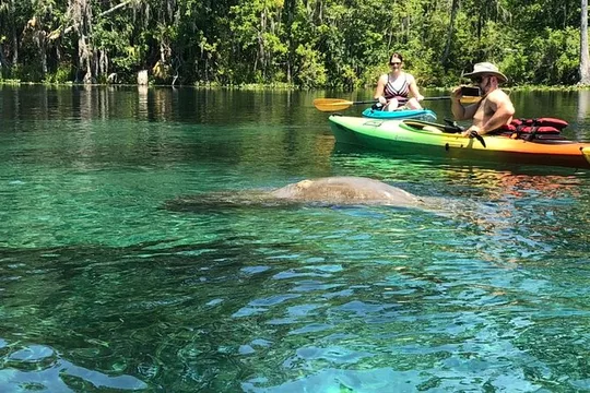 Manatee Springs Adventure Tour