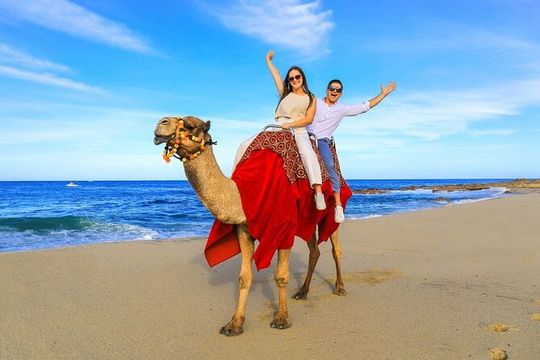 ATV & Camel Ride Tour on Migriño Beach