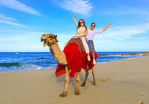 ATV & Camel Ride Tour on Migriño Beach