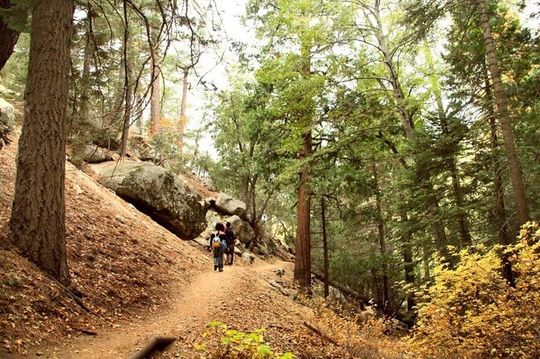 Idyllwild Day Tour