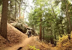 Idyllwild Day Tour