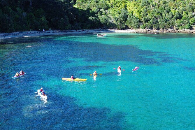 Tiritiri Matangi Sea Kayak Tour