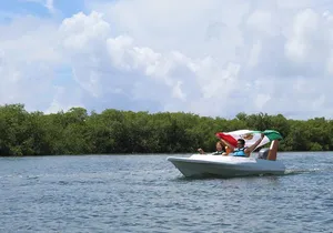 Jungle Tour & Snorkel - Discover Lagoon, Mangroves & Marine Life