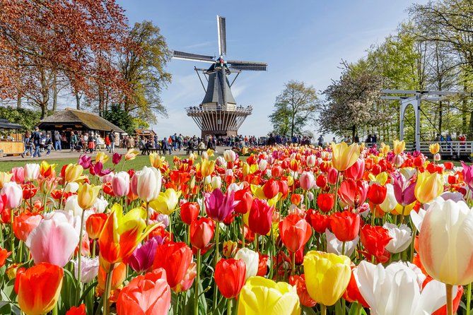 Keukenhof Gardens Half Day Guided Tour from Amsterdam