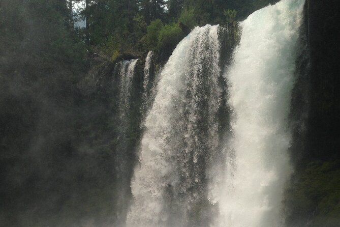 Eugene area Waterfalls & the McKenzie River in a Tesla