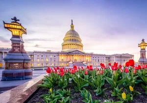 Iconic Film and Movie Locations Half Day Tour in Washington D.C.