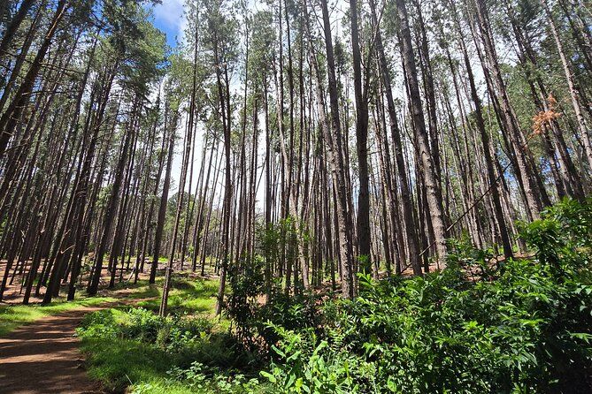 Private Upcountry Hiking Tour