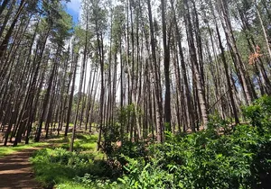 Private Upcountry Hiking Tour