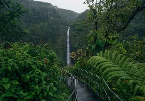 Akaka Falls Tour - Volcanoes National Park and Hilo Discovery