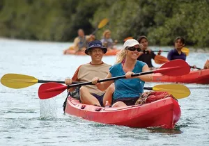 Outfitters Kauai: EXCLUSIVE Waterfall, Kayak and Zipline Safari