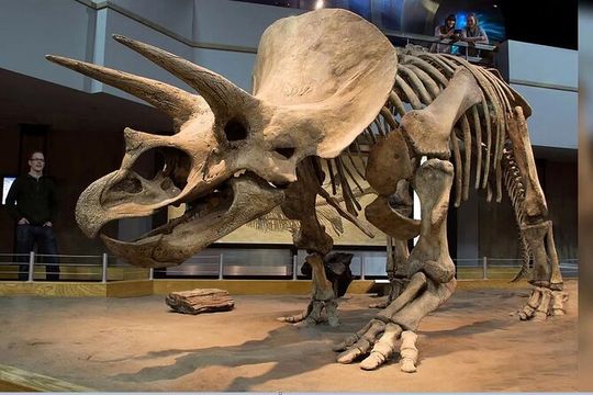 Exclusive Drumheller Private Tour from Calgary